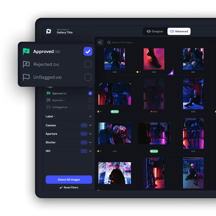 Manage Client Galleries and Review Feedback — Try Picflow for Free!